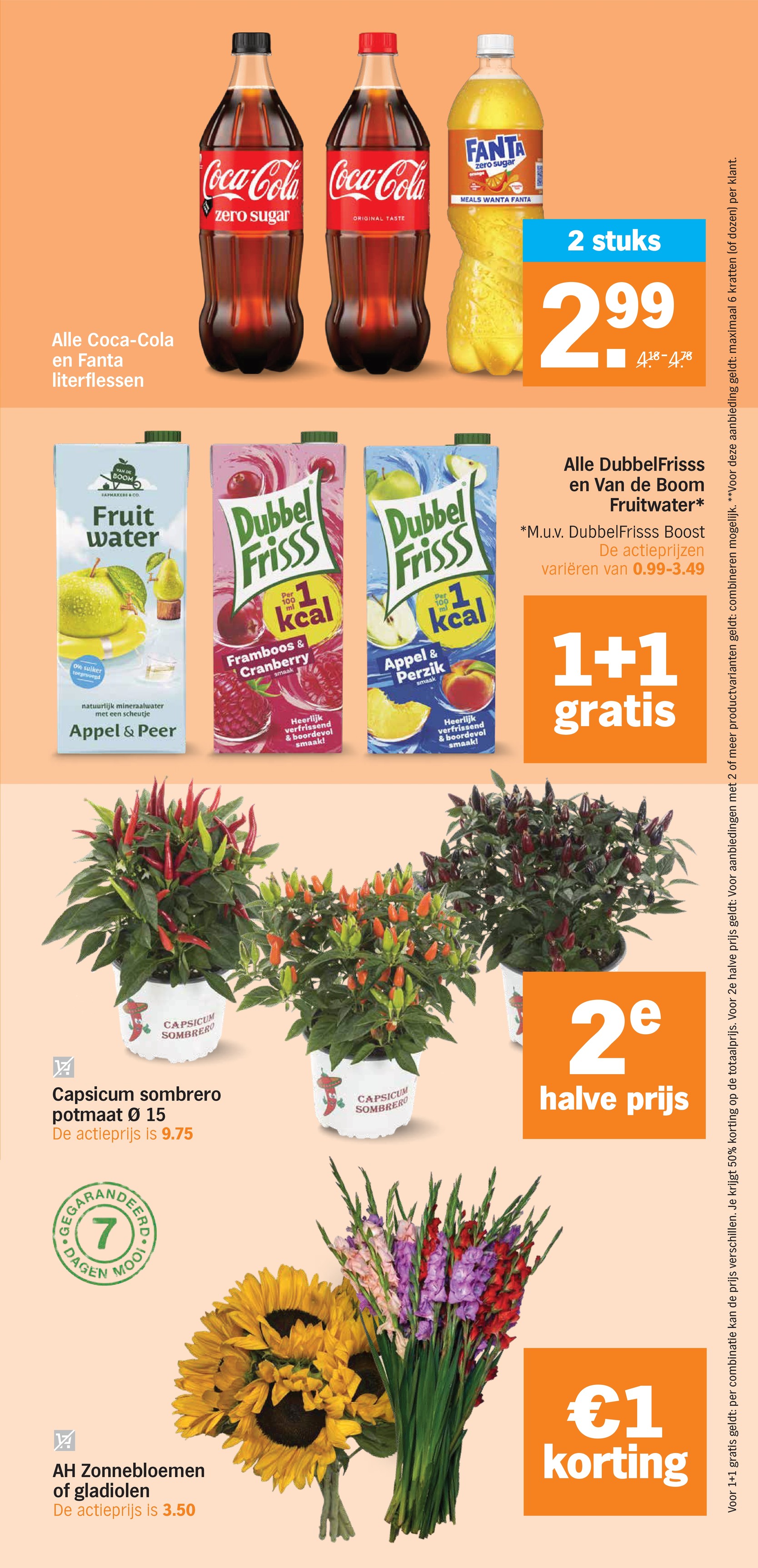 DubbelFrisss en Van de Boom Fruitwater, gemarkeerd op pagina 31 van de Albert Heijn folder