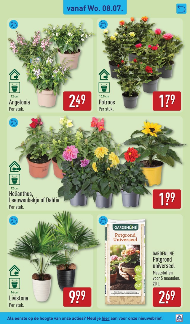 Potroos, gemarkeerd op pagina 37 van de Aldi folder
