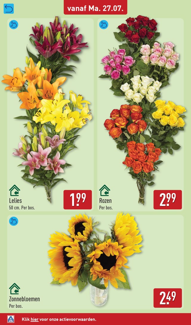 Rozen, gemarkeerd op pagina 34 van de Aldi folder