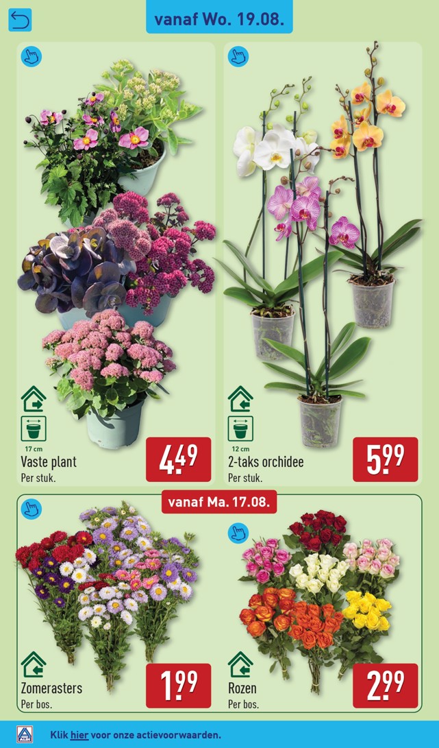 Aldi folder, pagina 30 van 56