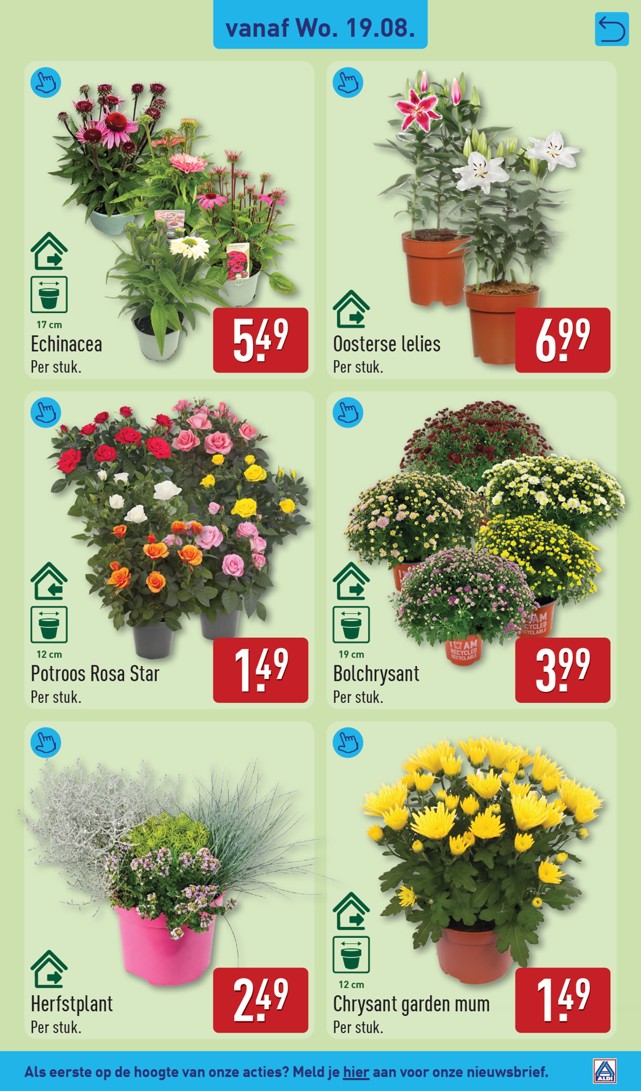 Aldi folder, pagina 31 van 56