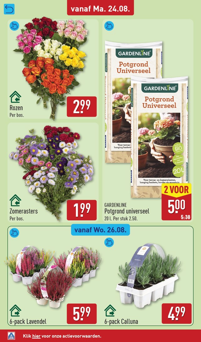 Aldi folder, pagina 46 van 77