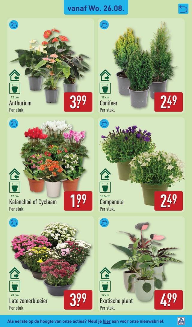 Aldi folder, pagina 47 van 77