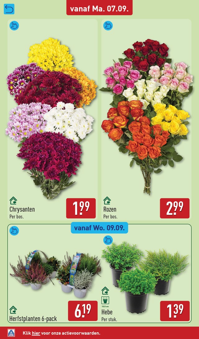 Aldi folder, pagina 34 van 62