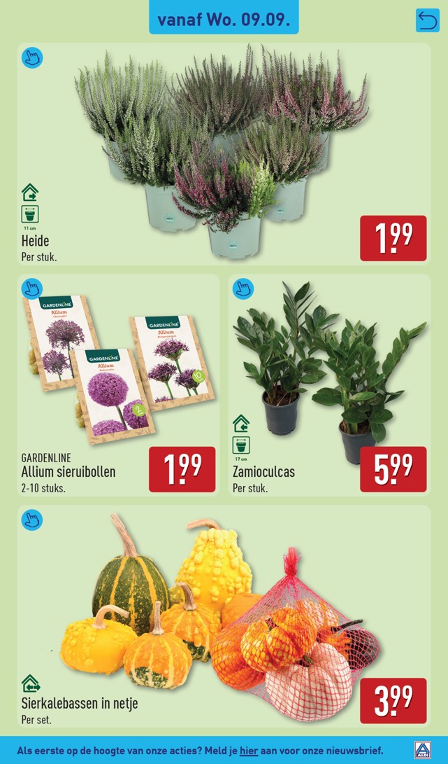 Aldi folder, pagina 35 van 62