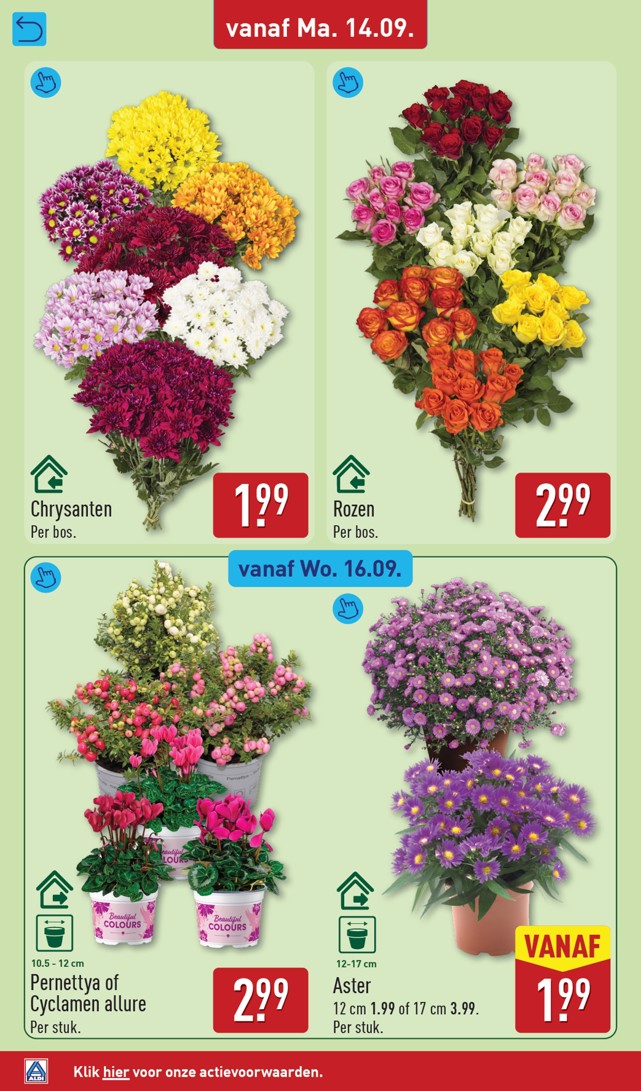 Aldi folder, pagina 32 van 59
