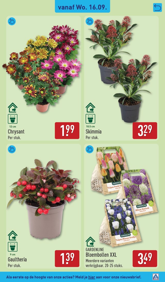 Aldi folder, pagina 33 van 59