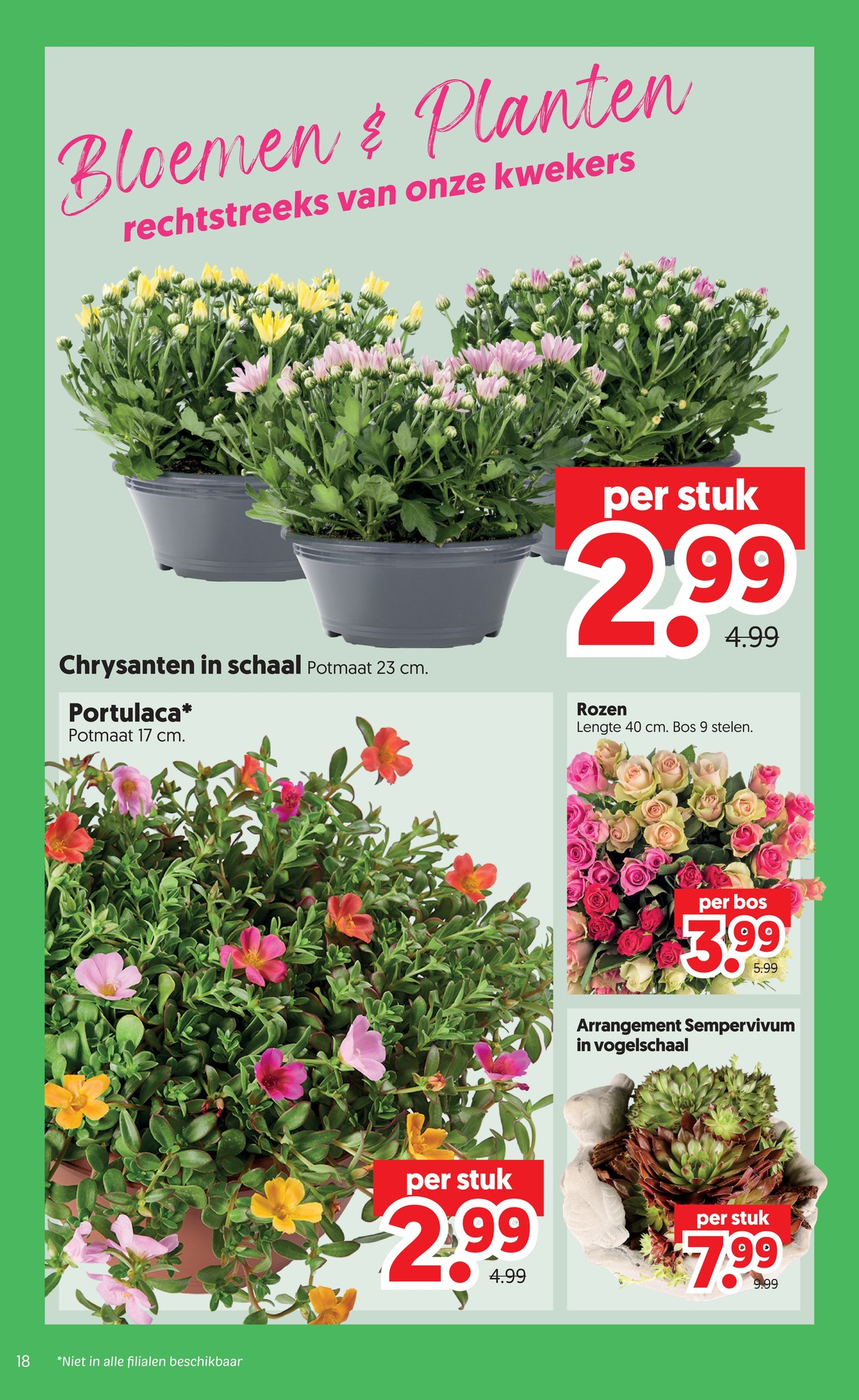 Rozen, gemarkeerd op pagina 18 van de Dekamarkt folder