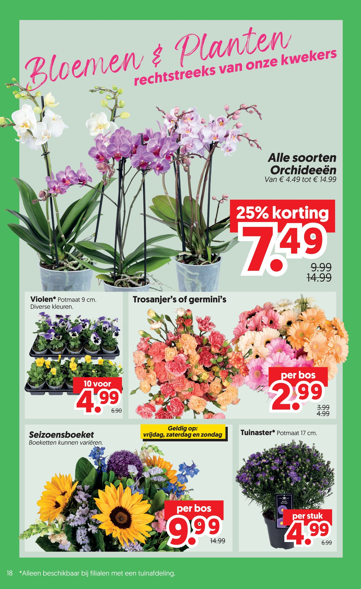 Tuinaster, gemarkeerd op pagina 20 van de Dekamarkt folder