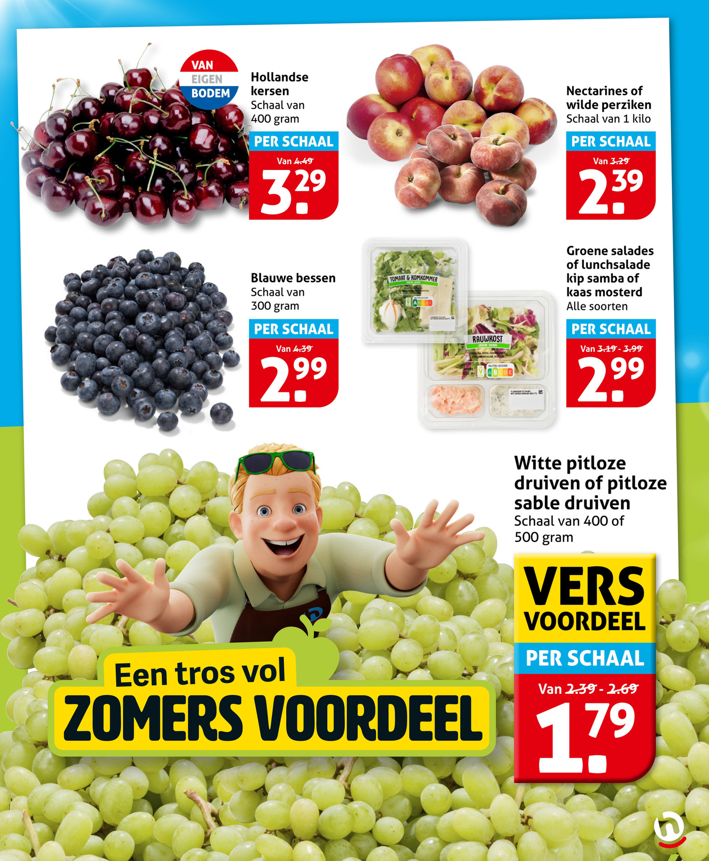 Groene salades of lunchsalade, gemarkeerd op pagina 9 van de Hoogvliet folder