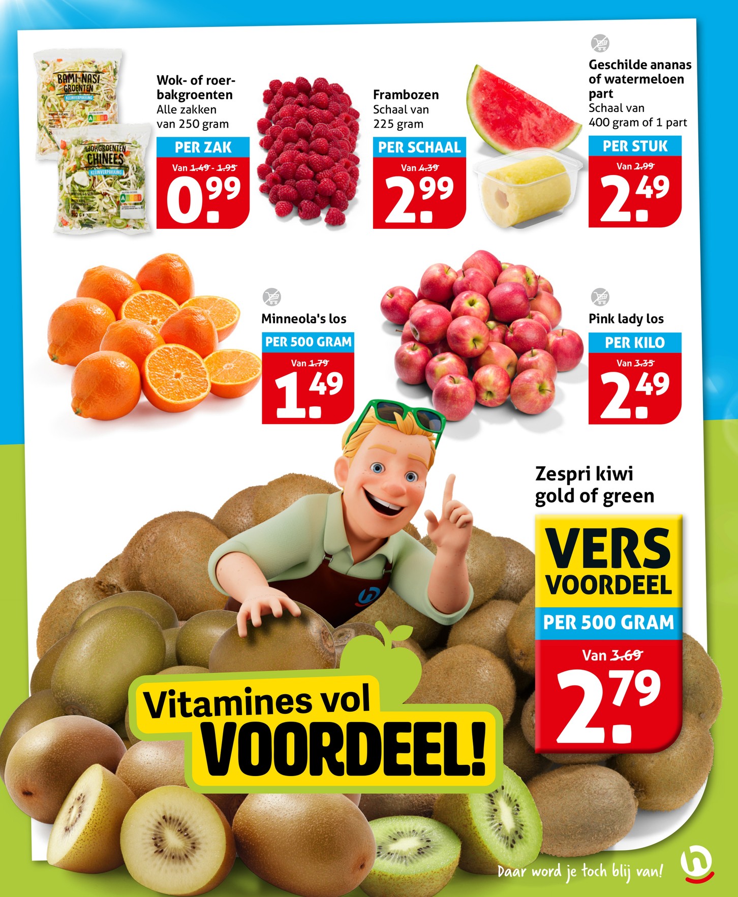 Minneola's los, gemarkeerd op pagina 9 van de Hoogvliet folder