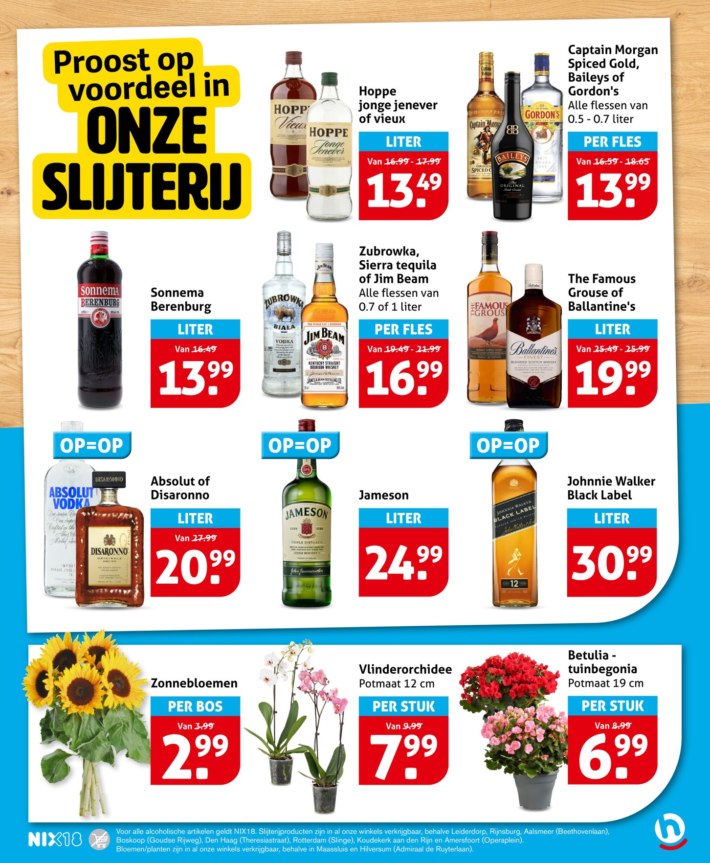 Betulia - tuinbegonia, gemarkeerd op pagina 23 van de Hoogvliet folder
