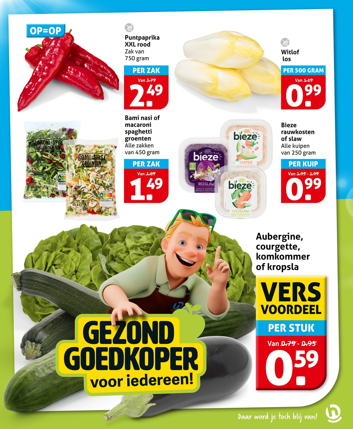Hoogvliet folder, pagina 17 van 31