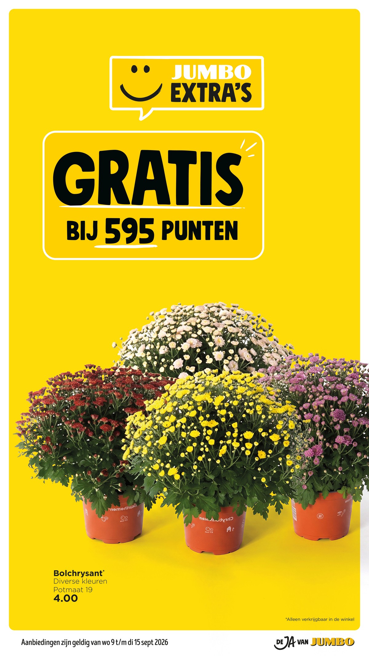 Jumbo folder, pagina 54 van 56