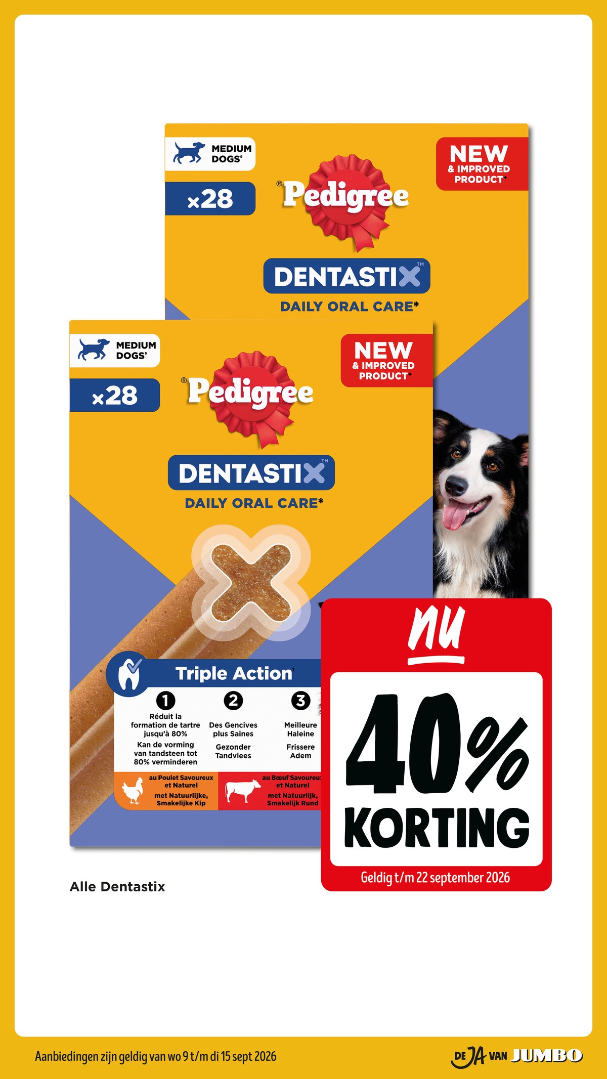 Jumbo folder, pagina 56 van 56