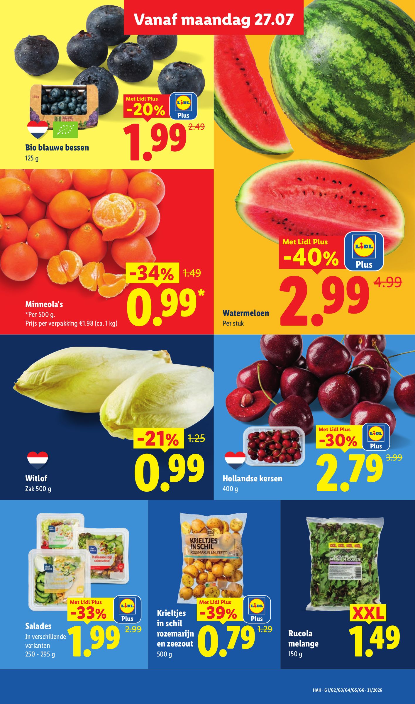 Witlof, gemarkeerd op pagina 7 van de Lidl folder