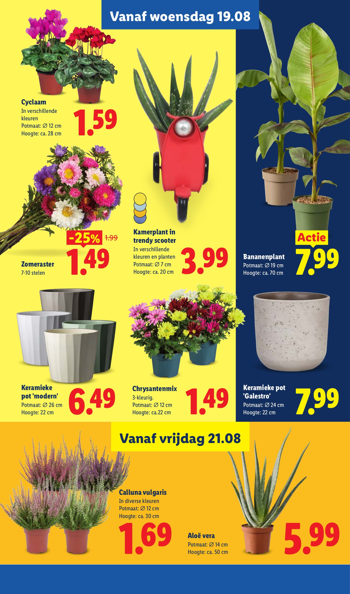 Lidl folder, pagina 17 van 44