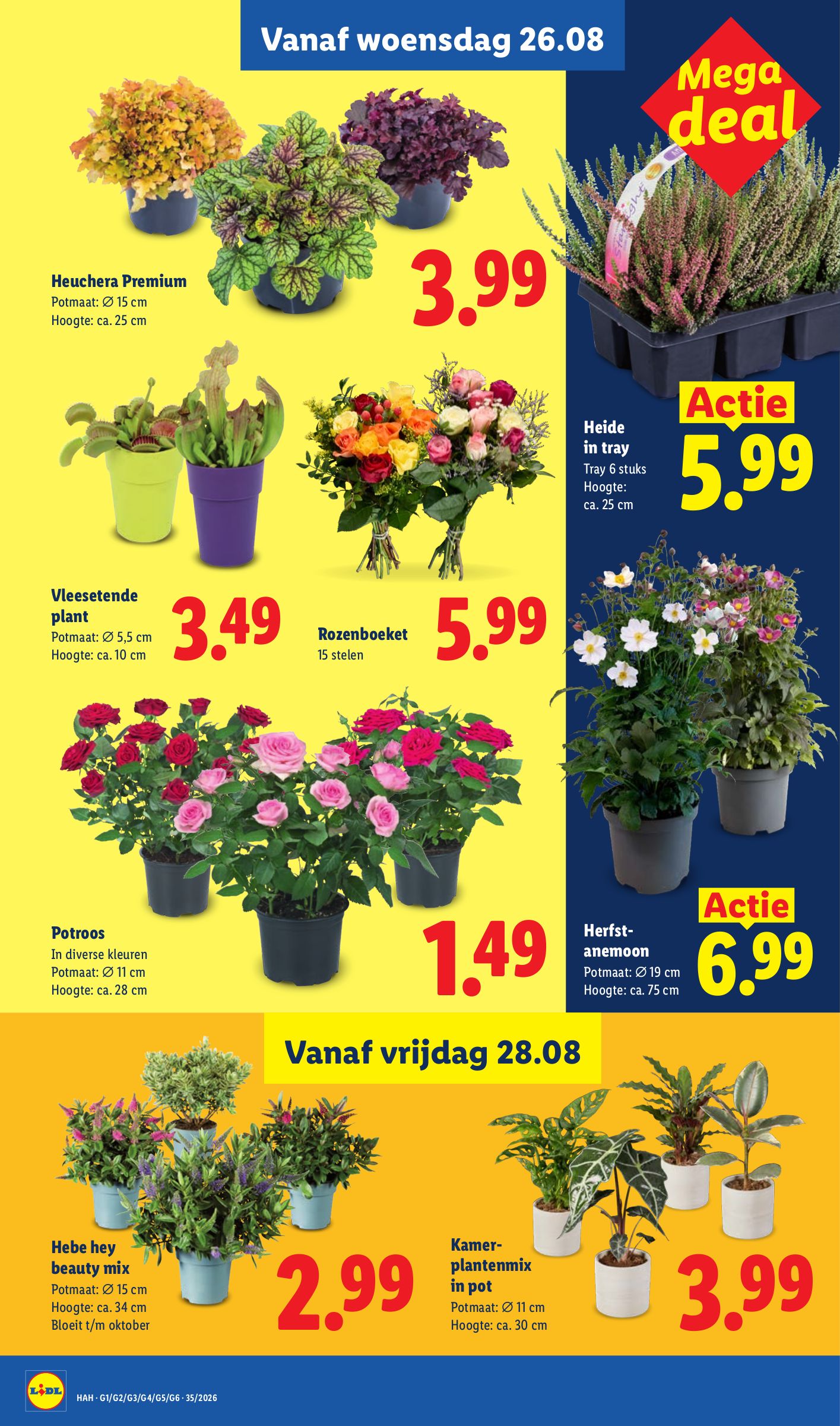 Lidl folder, pagina 20 van 48