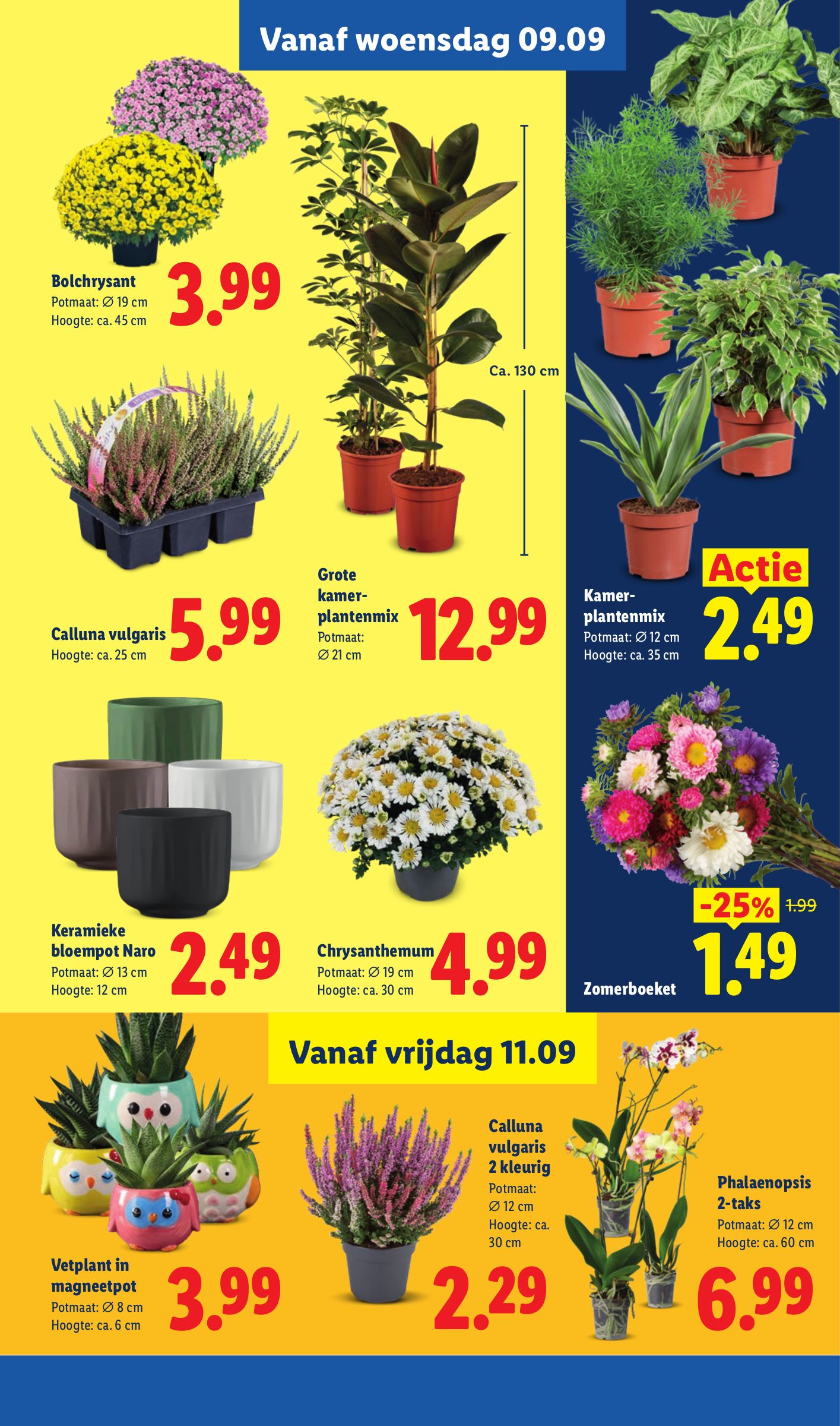 Lidl folder, pagina 36 van 55