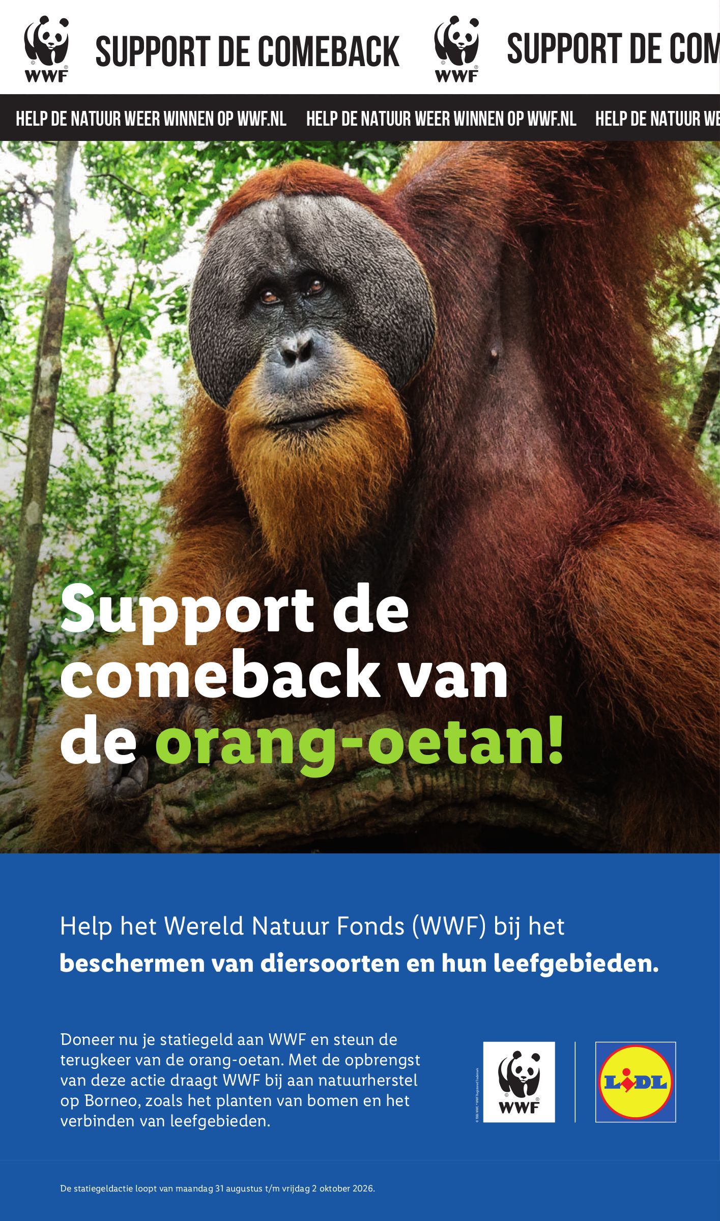 Lidl folder, pagina 52 van 55