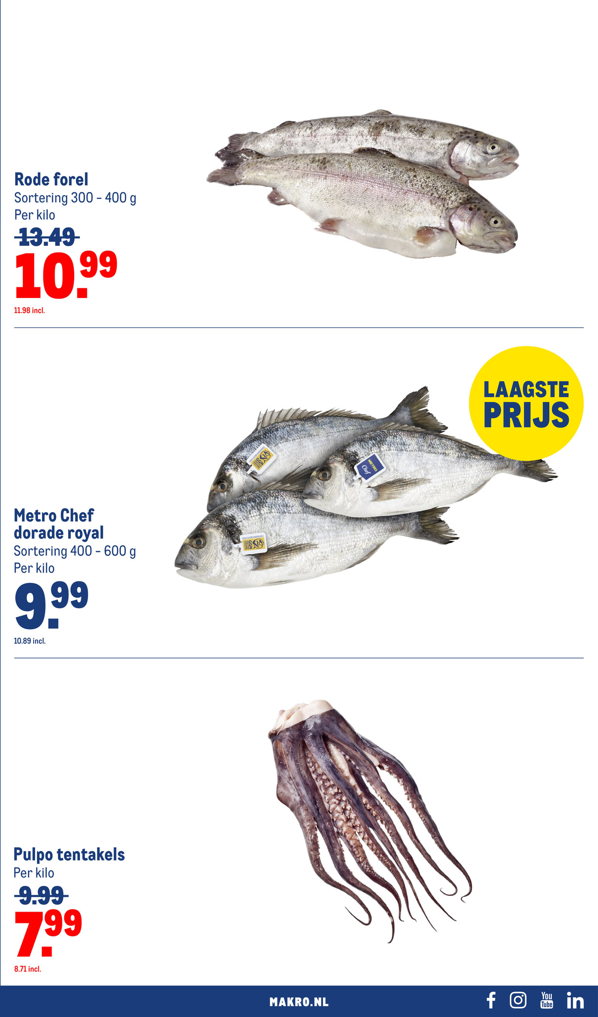 Makro folder, pagina 21 van 118