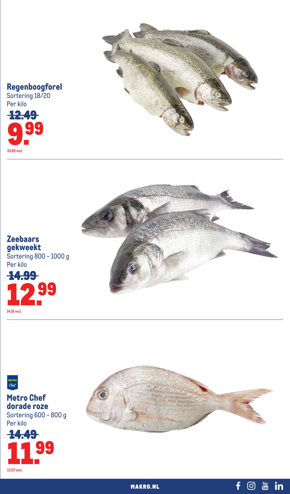 Makro folder, pagina 21 van 125