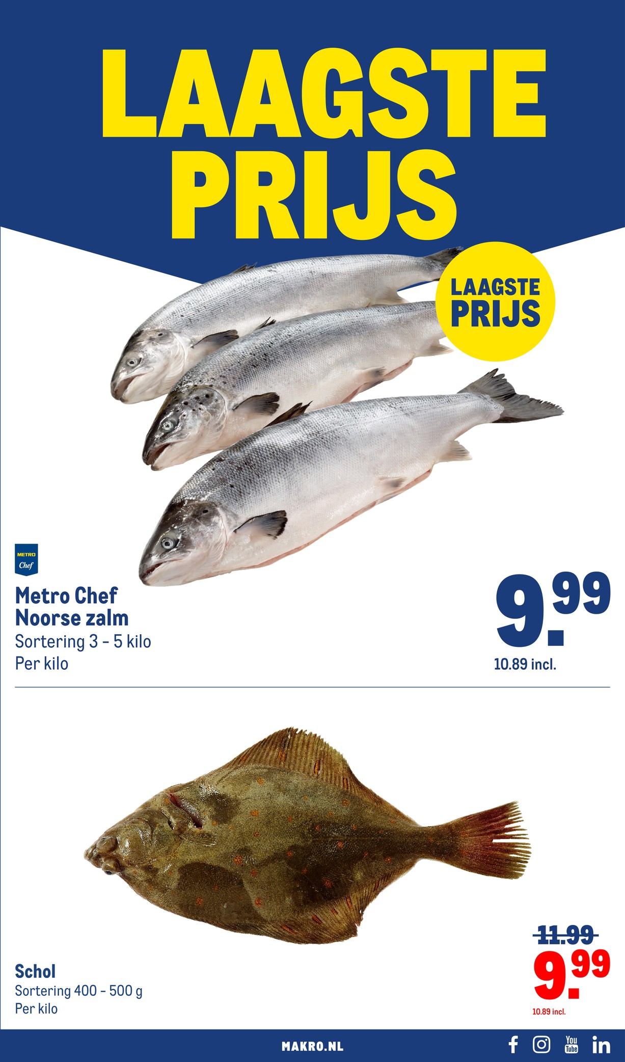 Makro folder, pagina 31 van 120