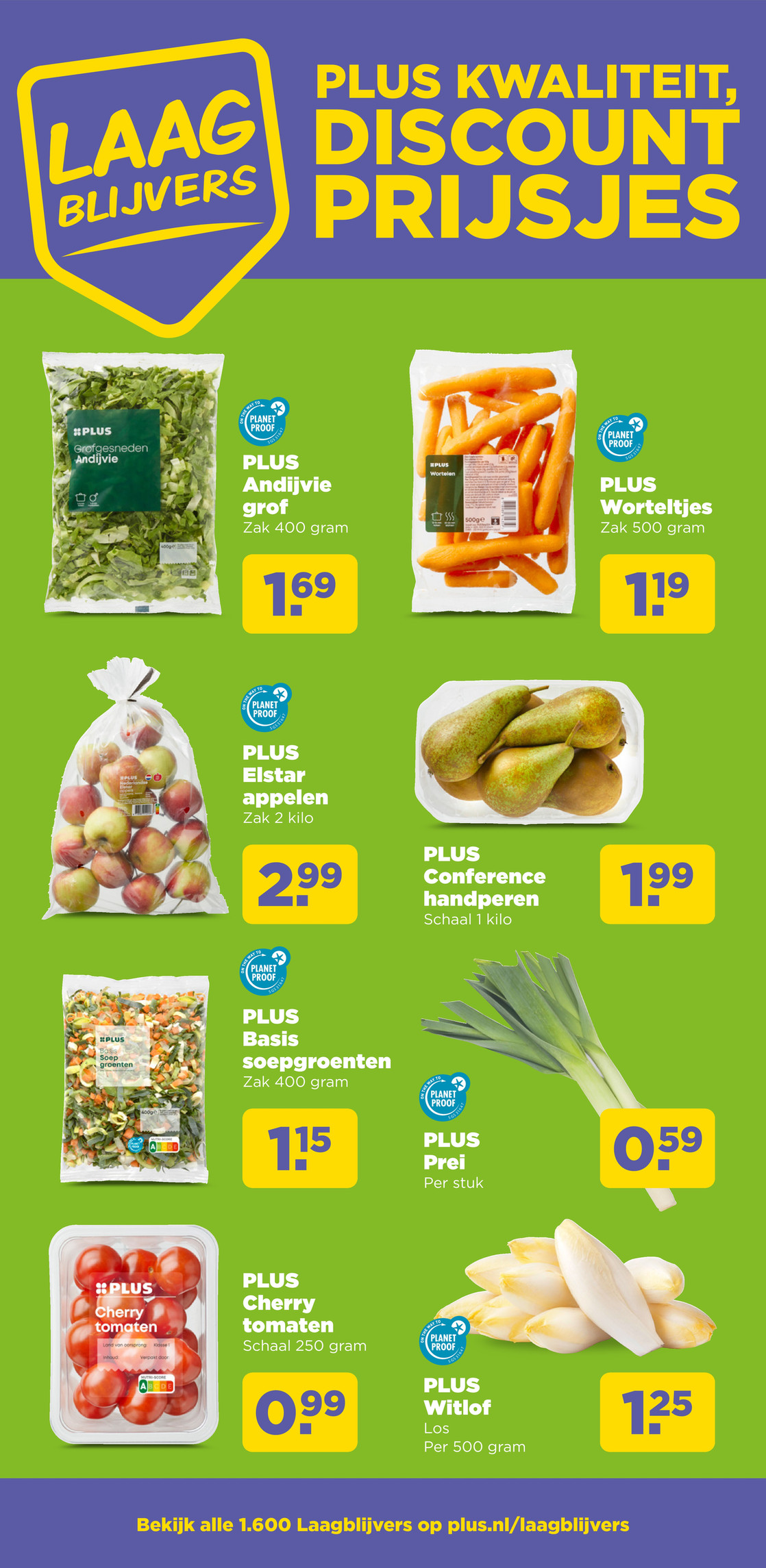 PLUS Andijvie grof, gemarkeerd op pagina 7 van de Plus folder