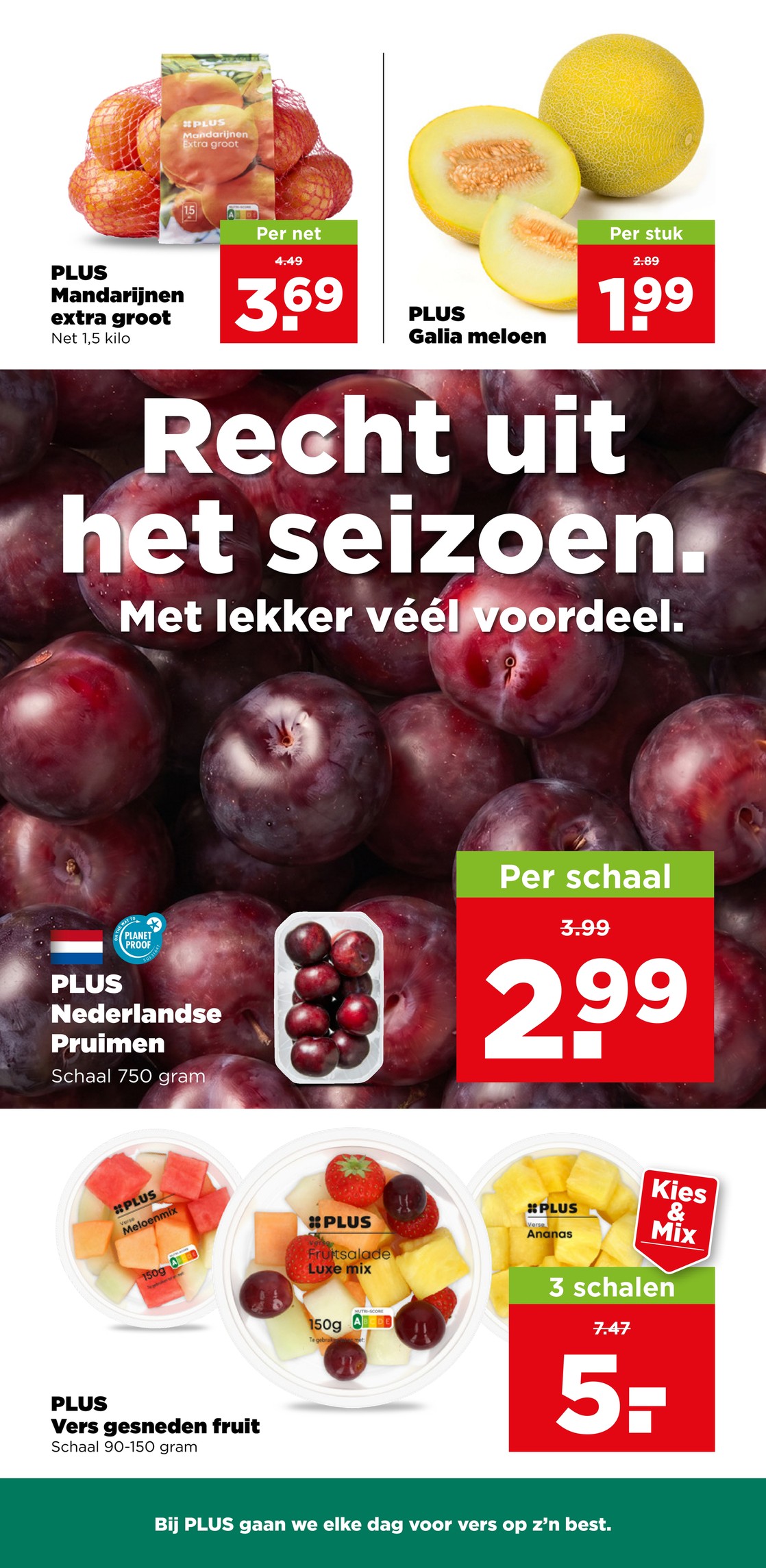 PLUS Galia meloen, gemarkeerd op pagina 3 van de Plus folder