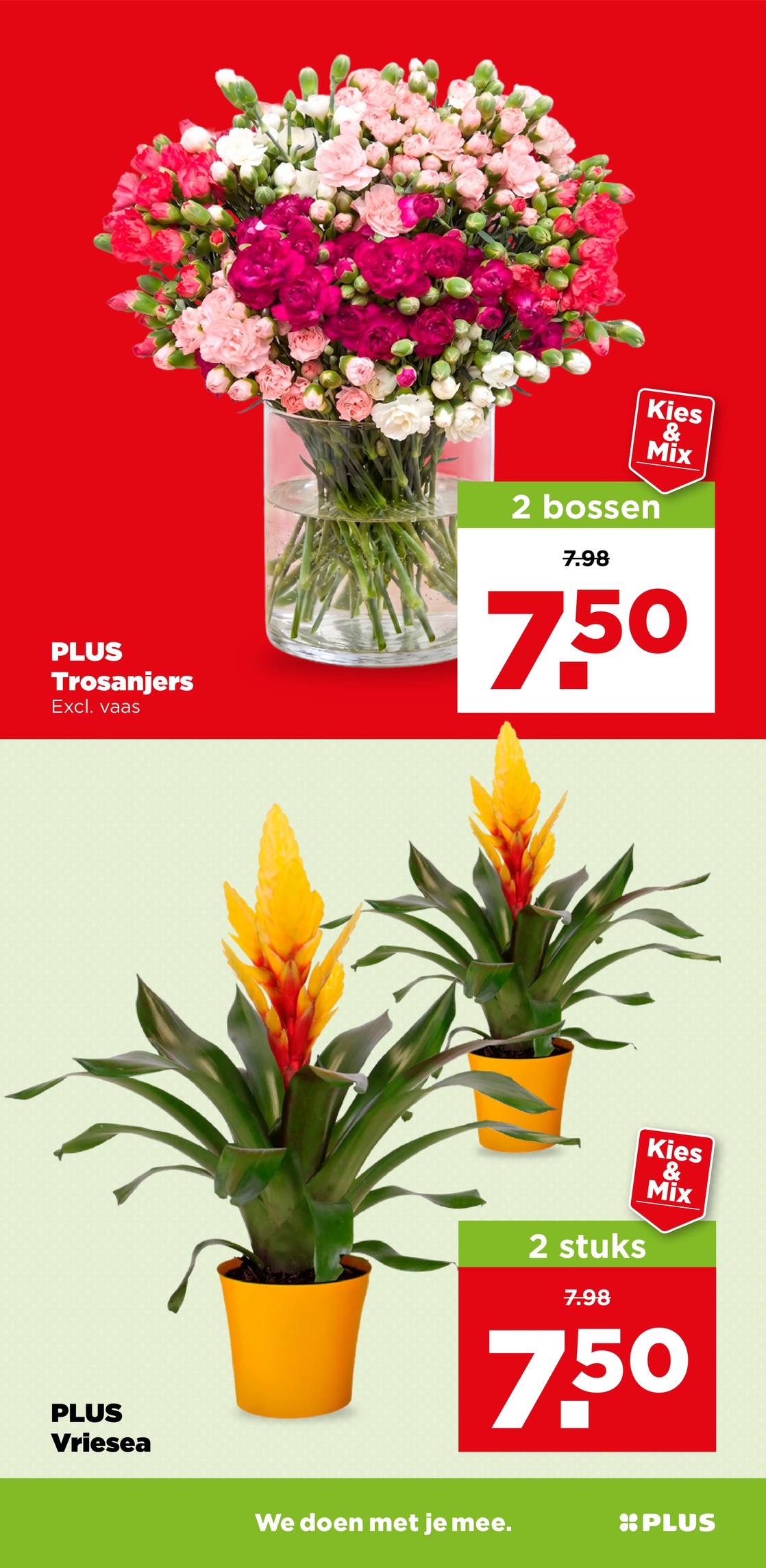 PLUS Vriesea, gemarkeerd op pagina 34 van de Plus folder