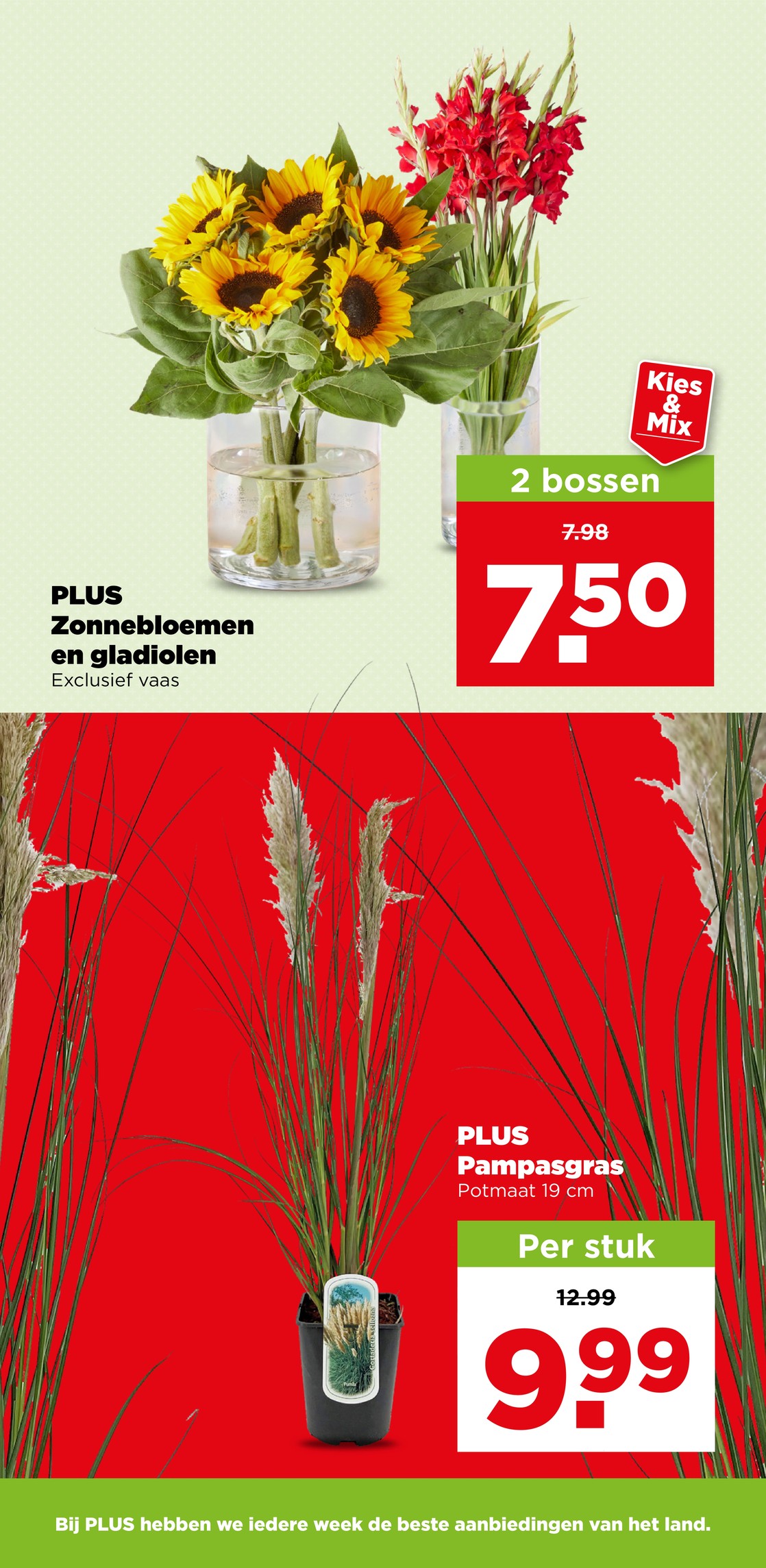 Plus folder, pagina 41 van 45