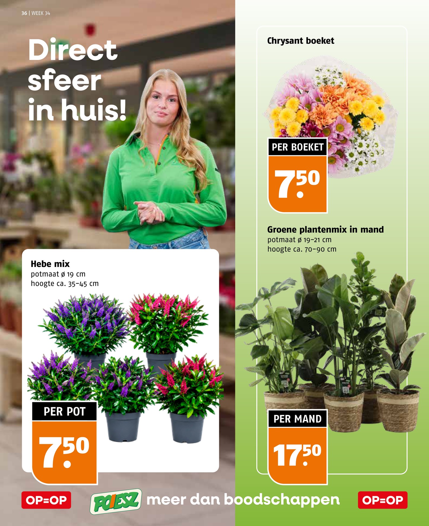 Poiesz folder, pagina 36 van 42