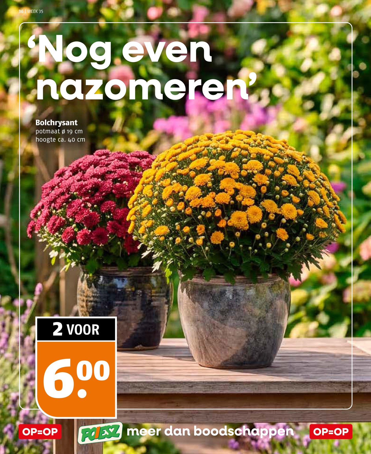 Poiesz folder, pagina 36 van 41