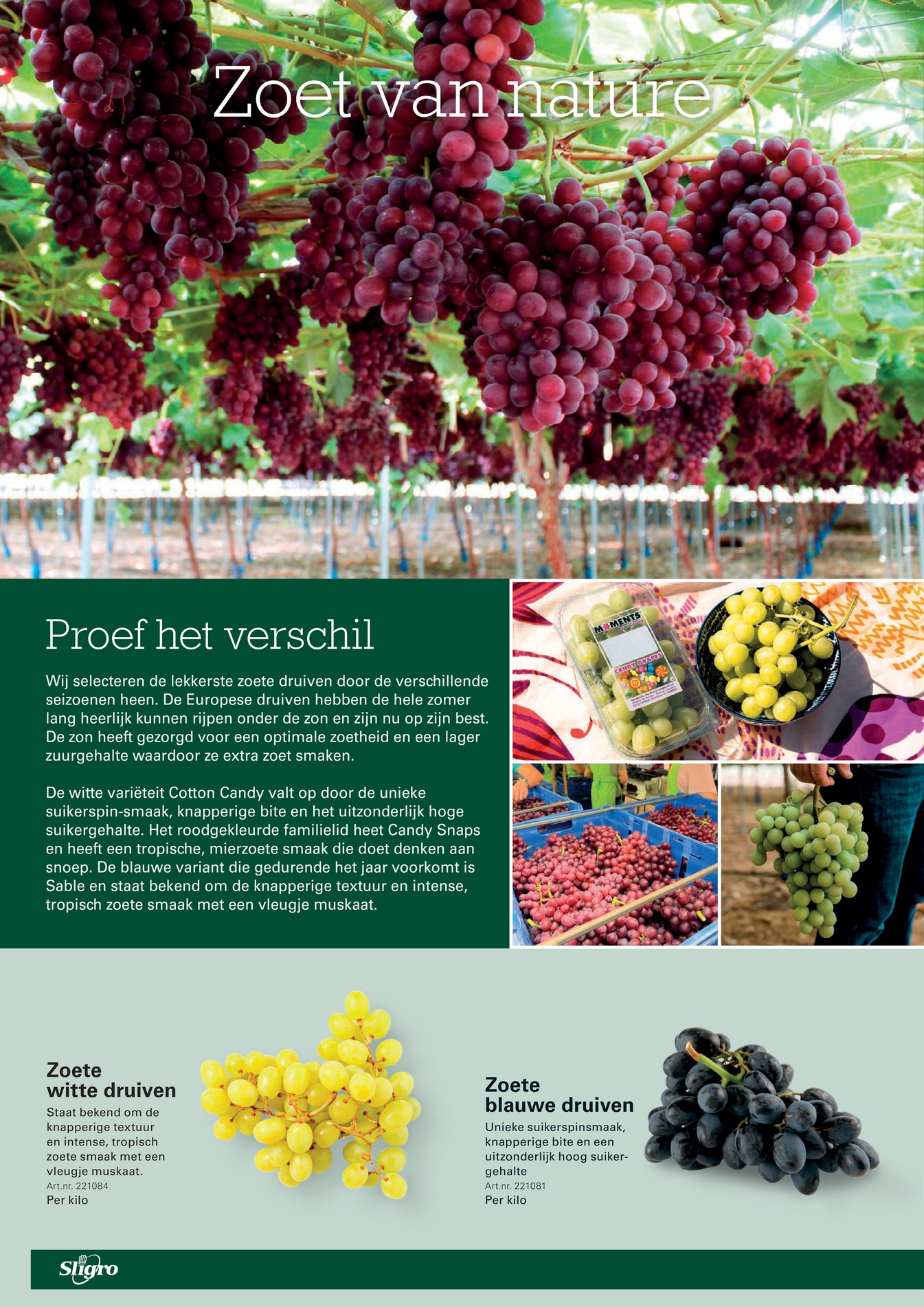 Sligro folder, pagina 42 van 86