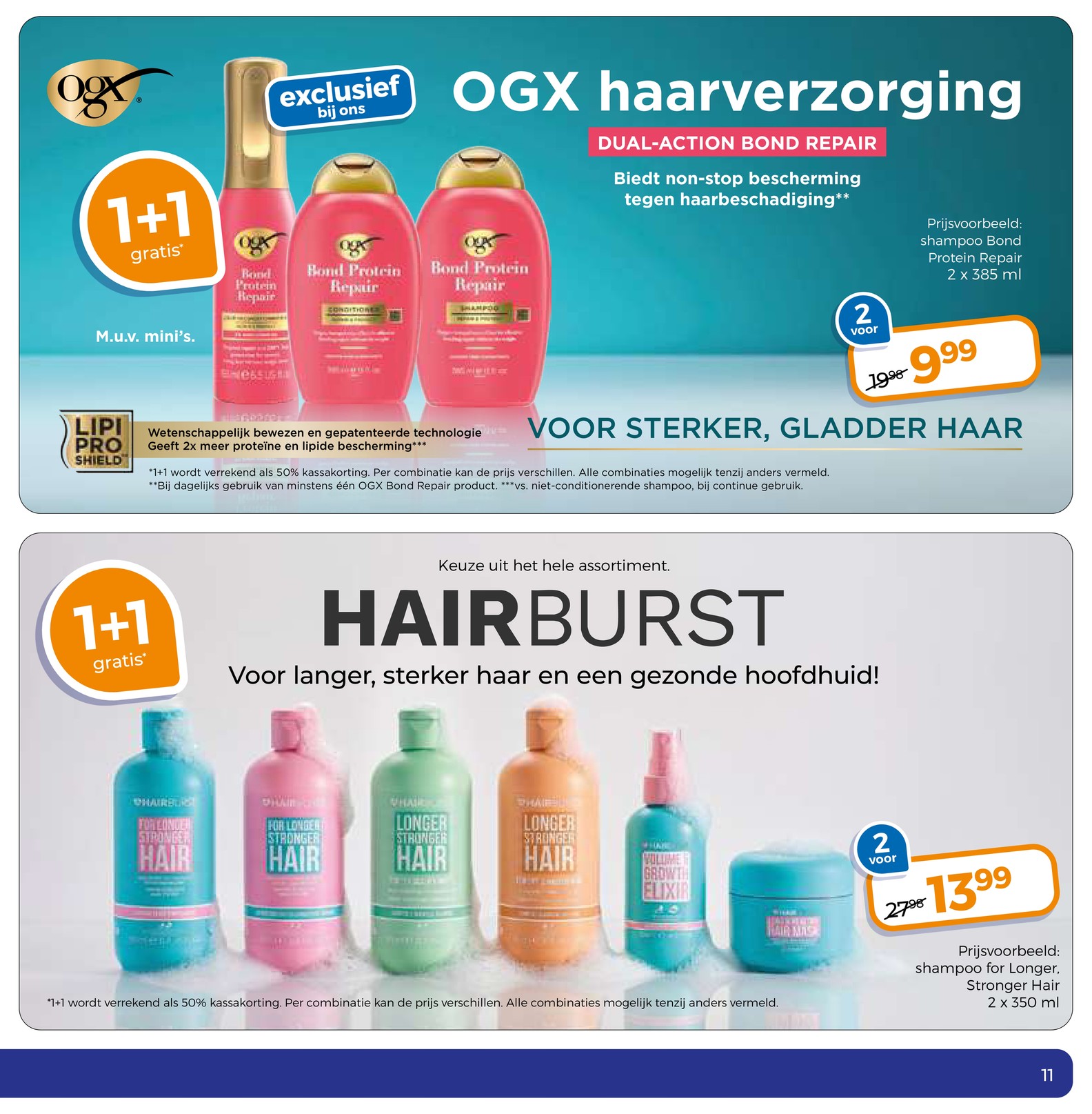 Trekpleister folder, pagina 13 van 56