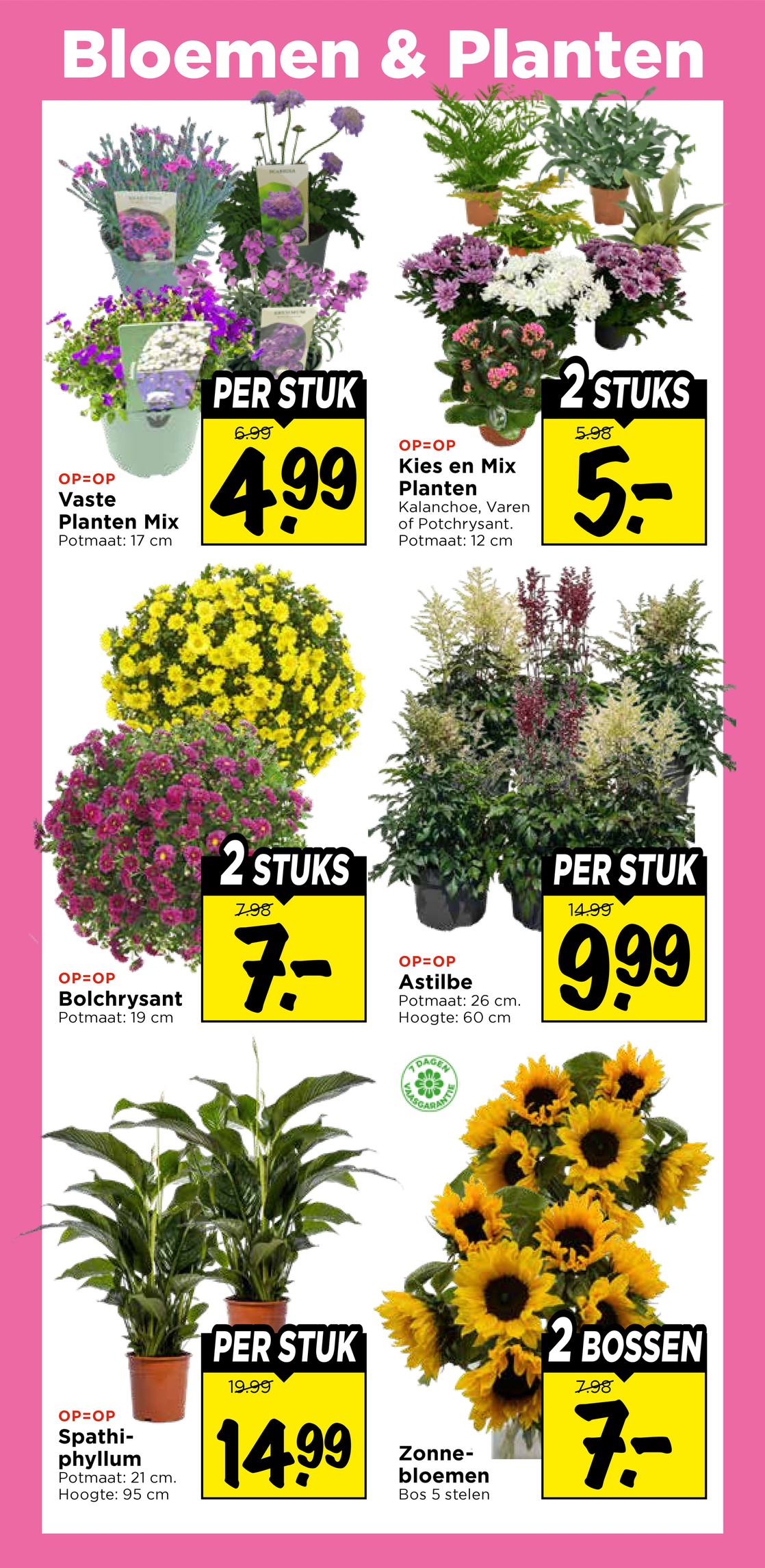 Zonnebloemen, gemarkeerd op pagina 34 van de Vomar folder