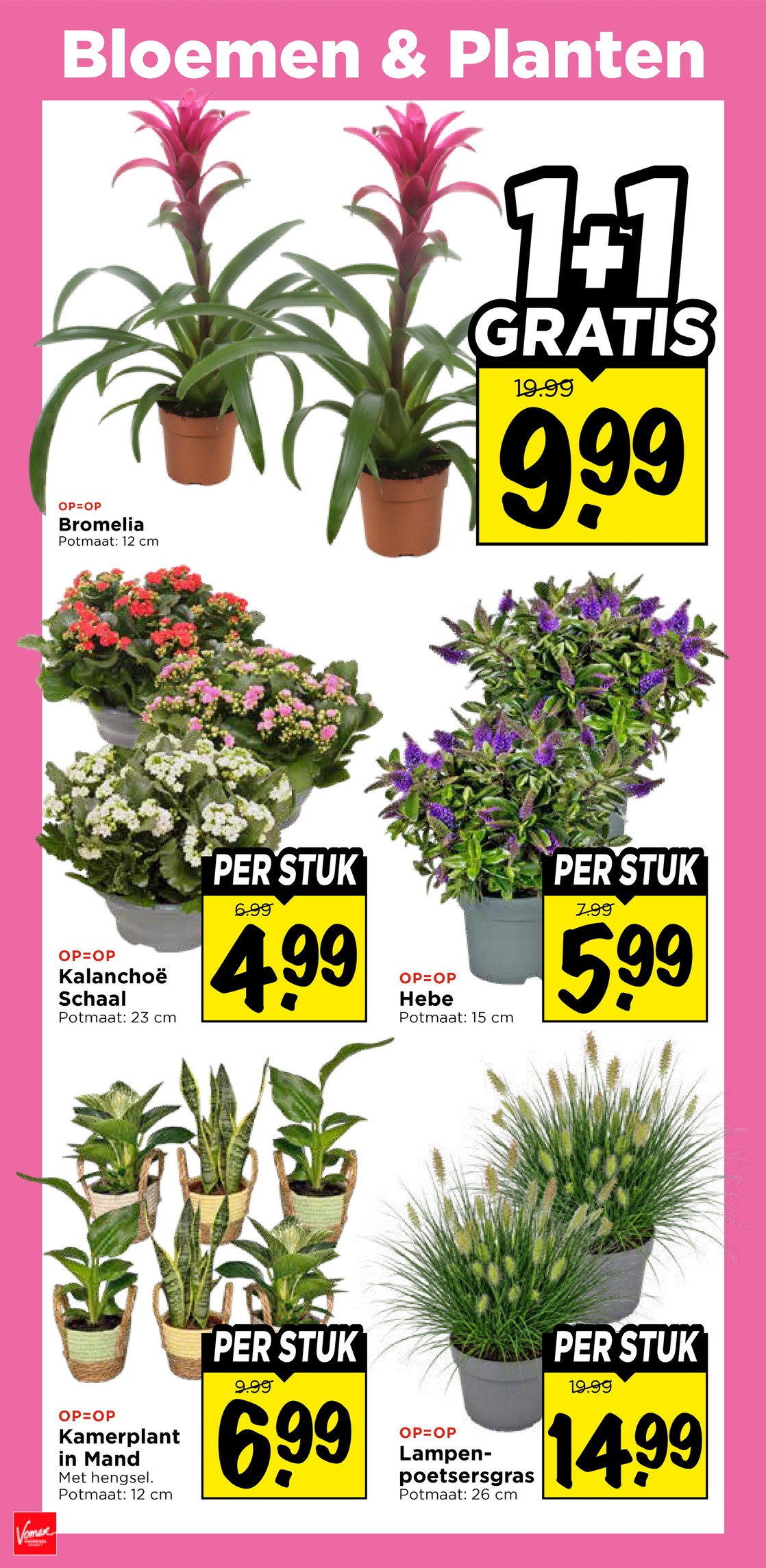Vomar folder, pagina 37 van 43