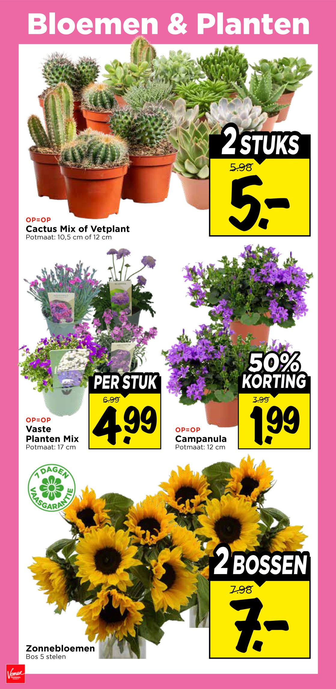 Zonnebloemen, gemarkeerd op pagina 32 van de Vomar folder