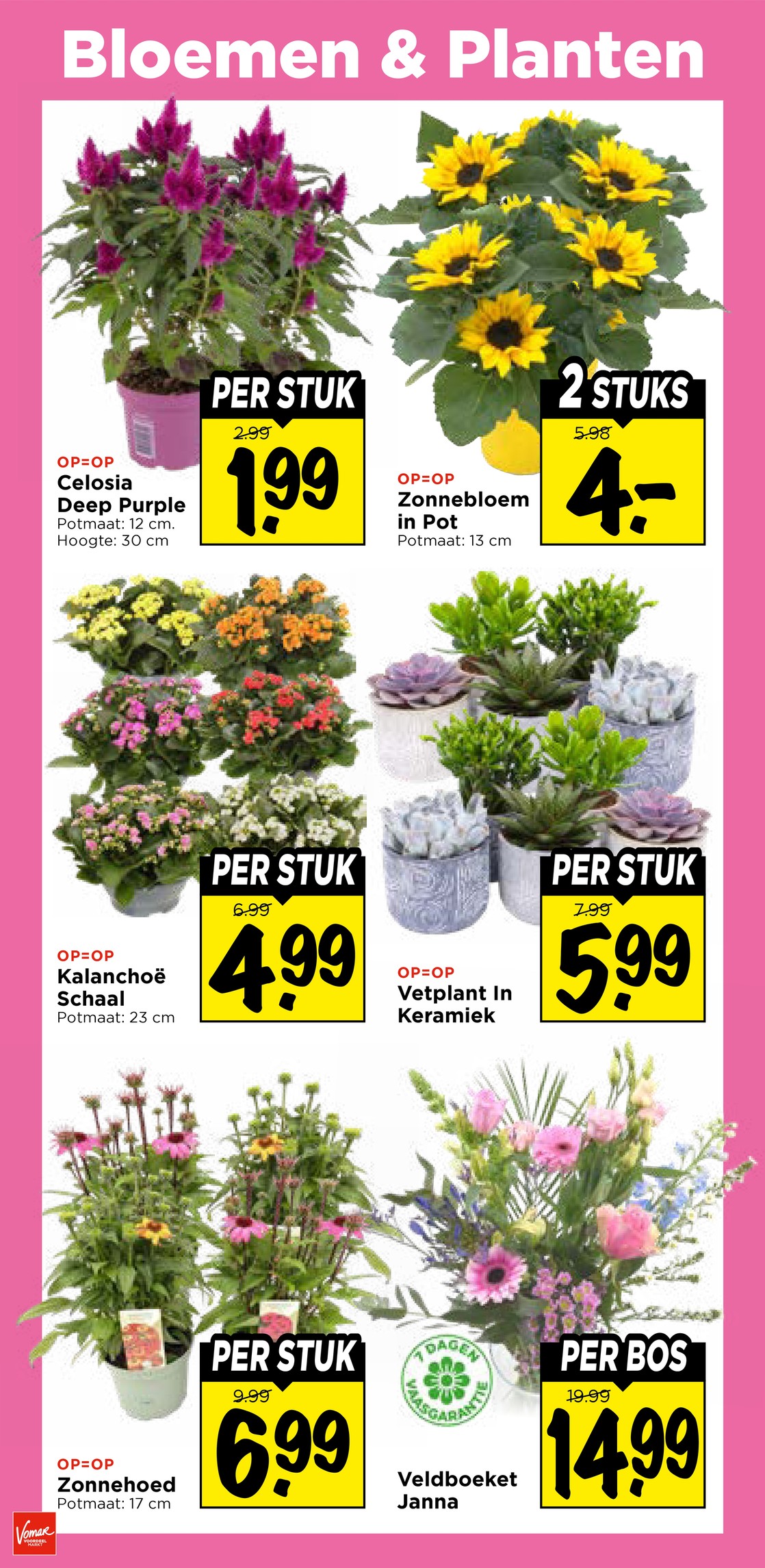 Kalanchoë Schaal, gemarkeerd op pagina 28 van de Vomar folder