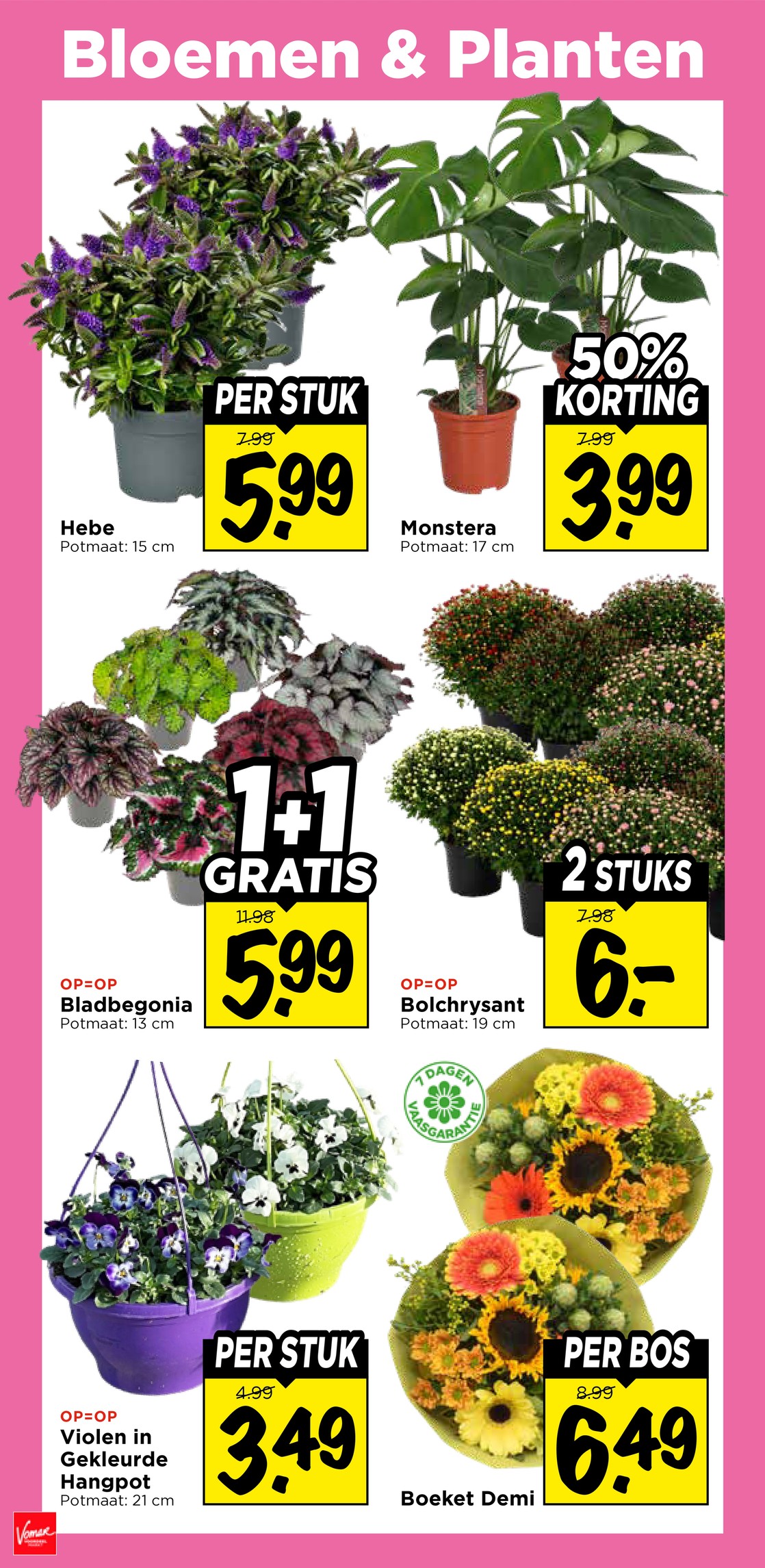 Vomar folder, pagina 34 van 43