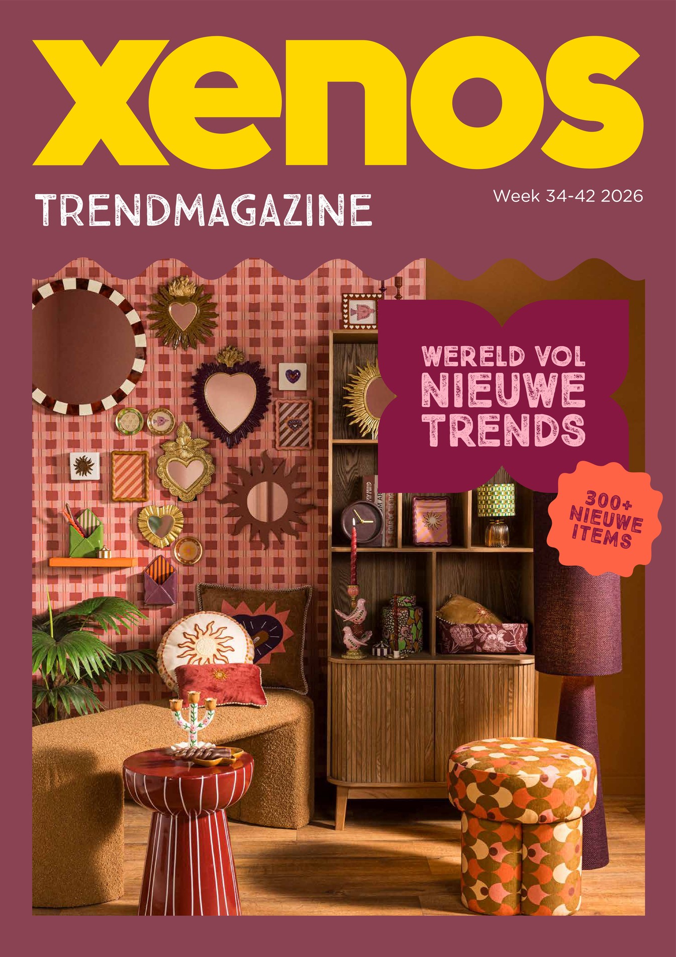 Cover van de huidige Xenos folder