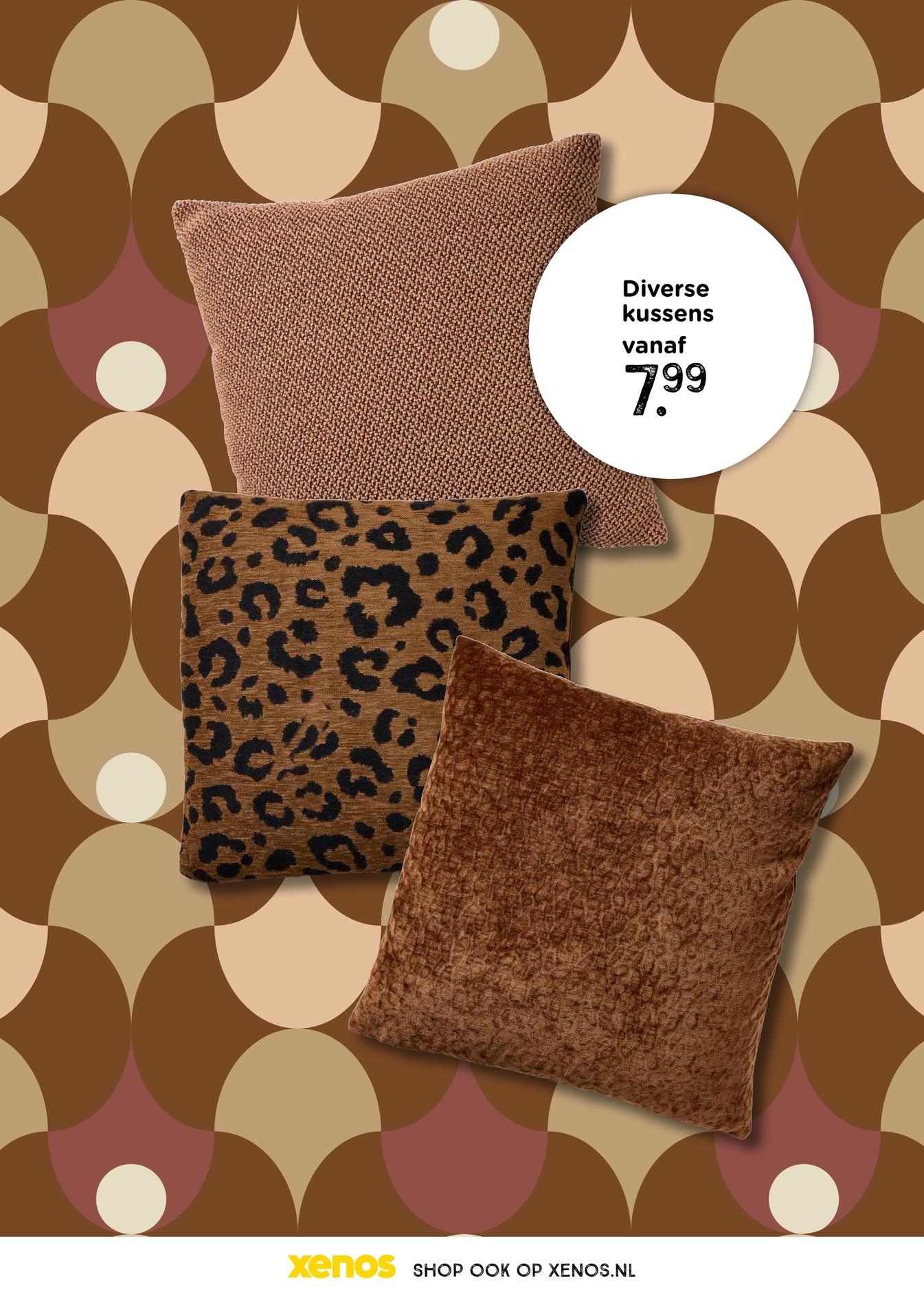 Diverse kussens, gemarkeerd op pagina 31 van de Xenos folder