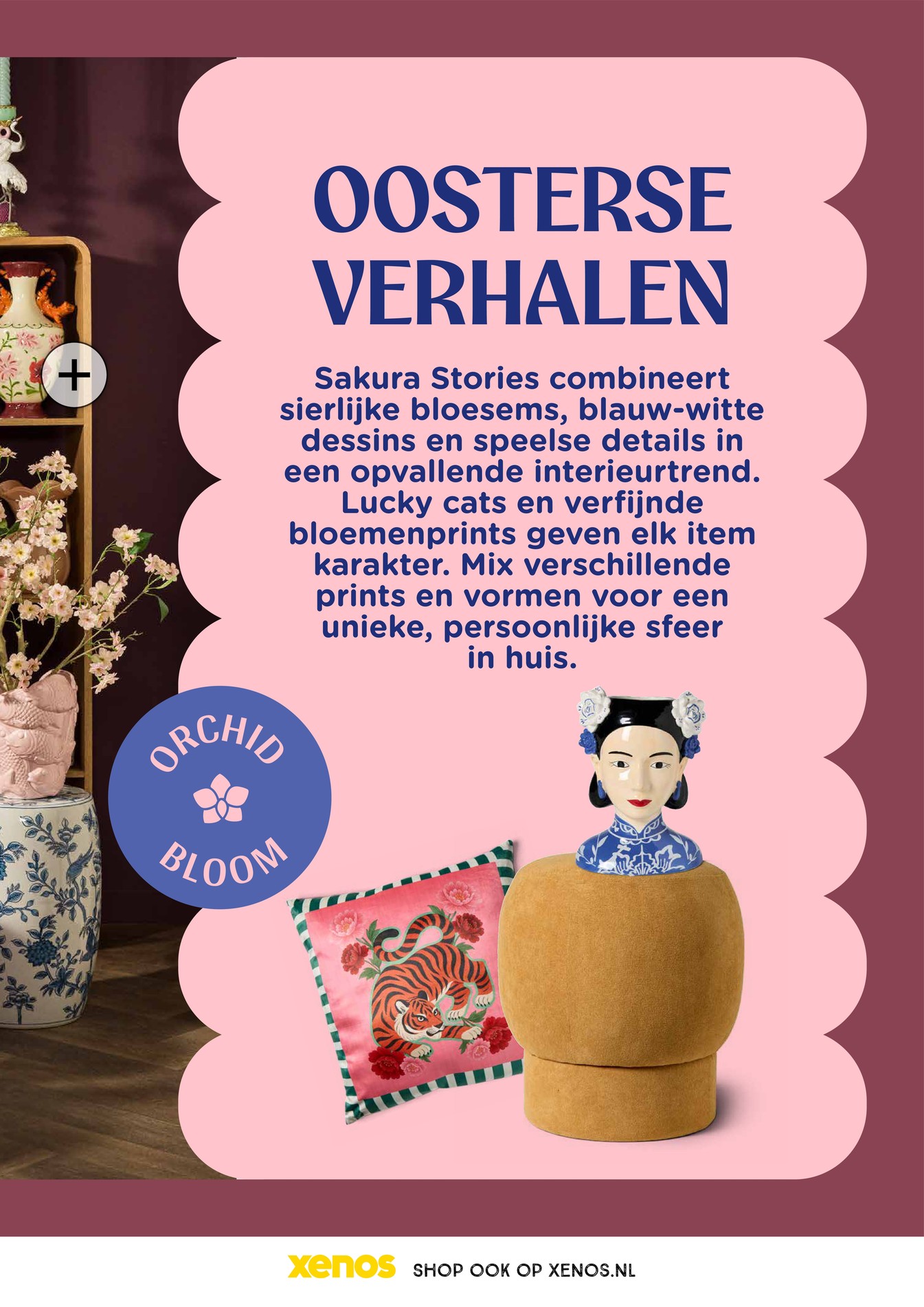 Xenos folder, pagina 43 van 56