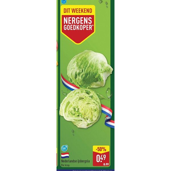 Nederlandse ijsbergsla