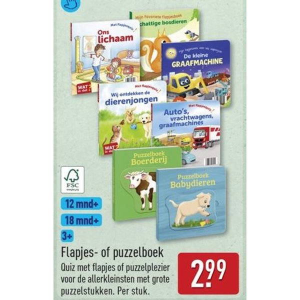 Flapjes- of puzzelboek