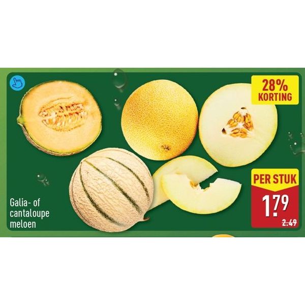 Galia- of cantaloupe meloen
