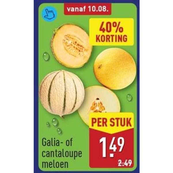 Galia- of cantaloupe meloen