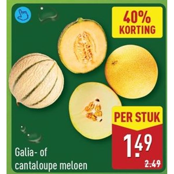 Galia- of cantaloupe meloen