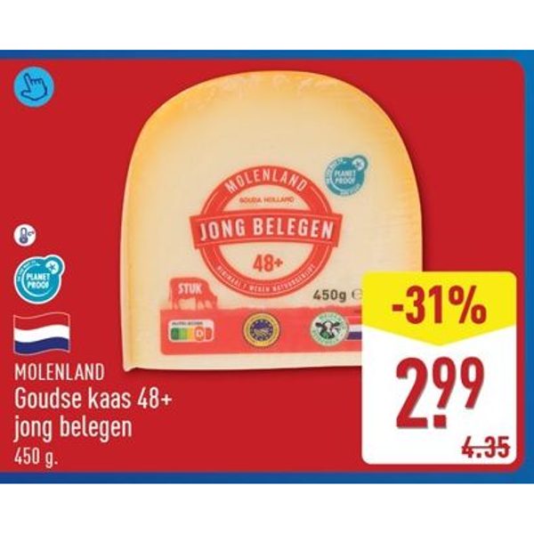 Molenland Goudse kaas 48+ jong belegen