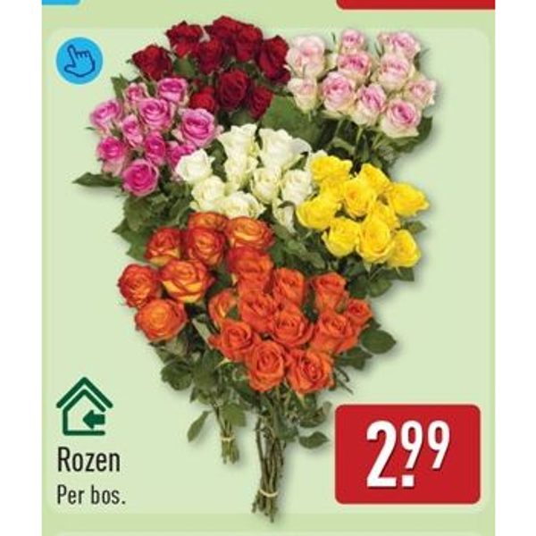 Rozen